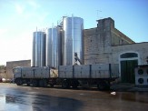 trasporto uva in azienda